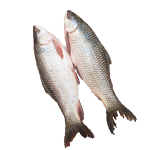 রেডি টু কুক নদীর মাছ