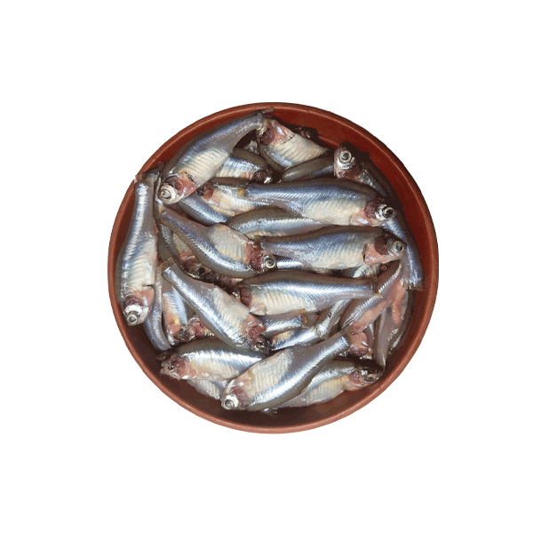 রেডি টু কুক নদীর মাছ